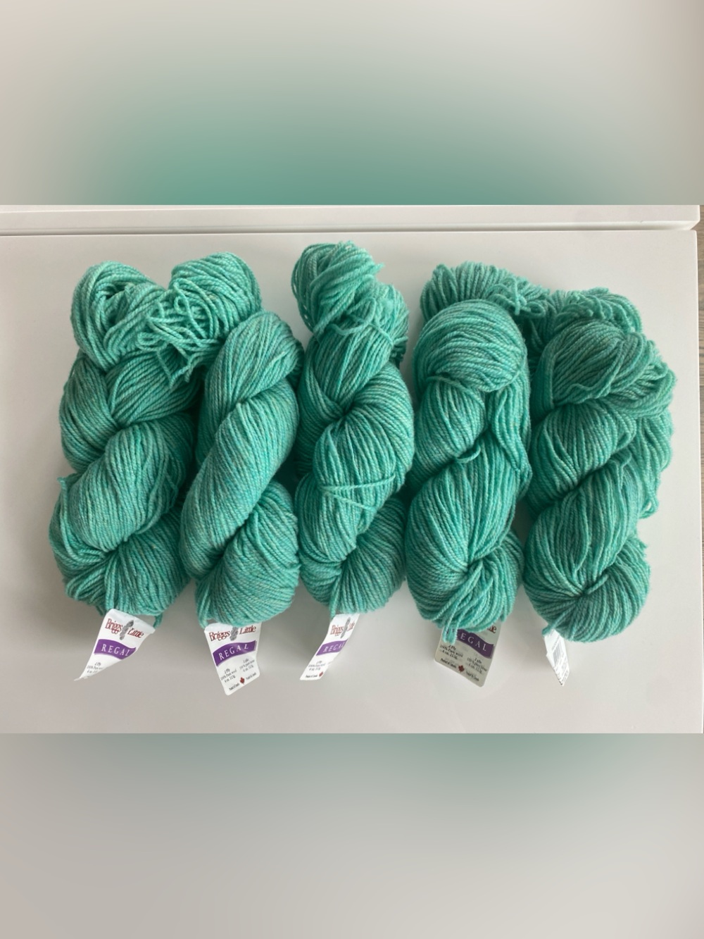 NWT Briggs & Little Regal 100% pure wool 6 skiens col 67 Meadow Green